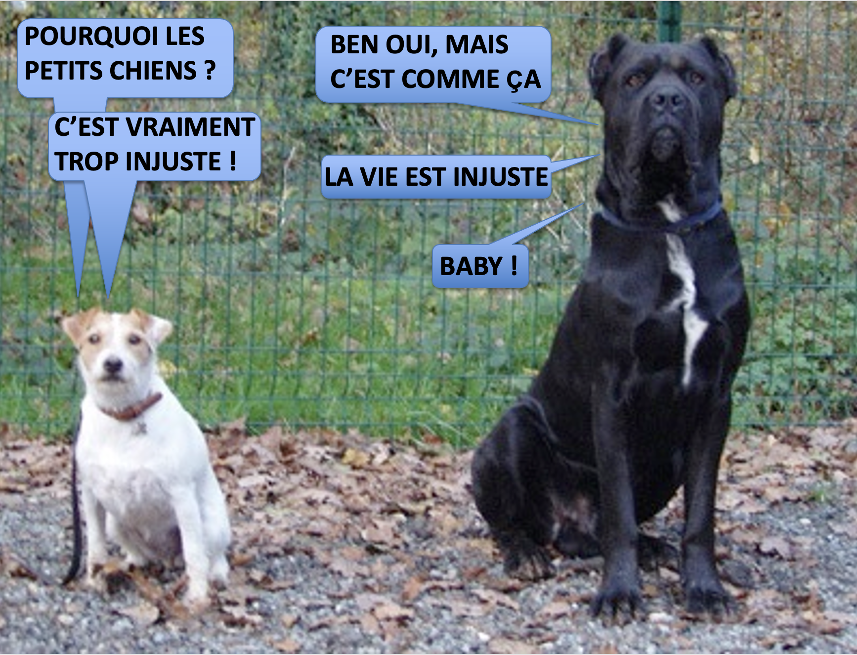 Capture d’écran 2025-10-12 à 01.04.29