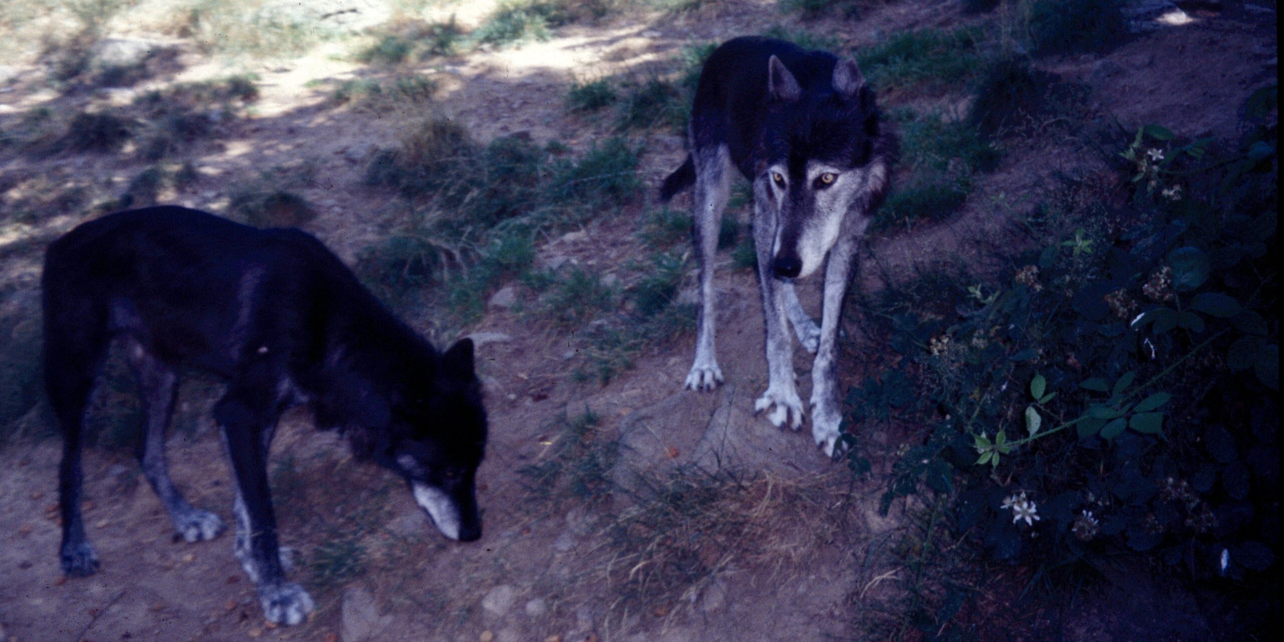 Scan-230220-0039