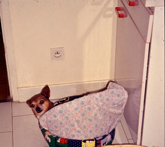 clip_image001