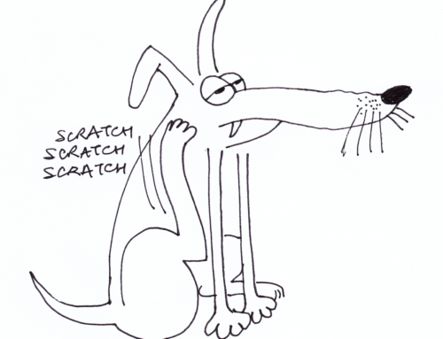 Les maladies des oreilles chez le chien et le chat