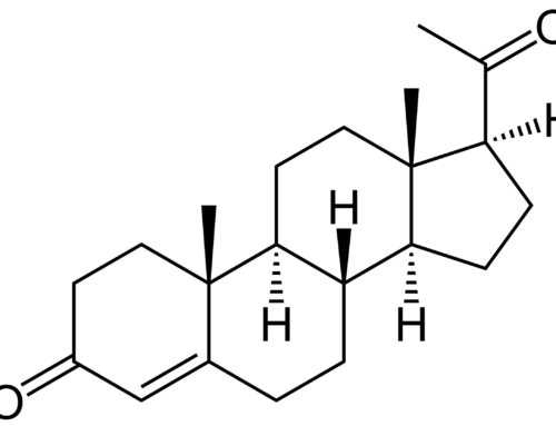Intérêts du dosage de la progestérone chez la chienne