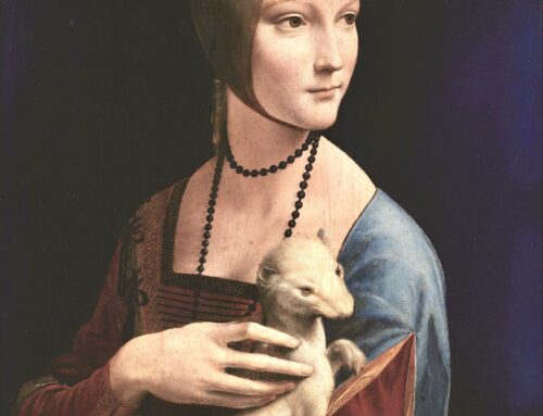 Une brève histoire du furet