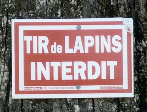 Malpropreté, destructions et agressivité chez le lapin